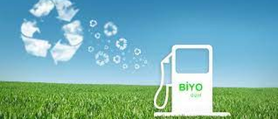Biyodizel Yakıtın Normal Dizel Yakıttan Farkı Nedir?